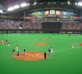 プロ野球観戦応援ツアー